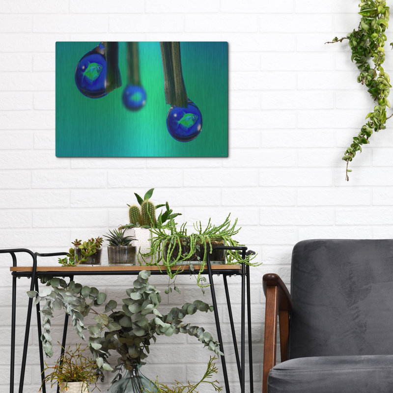 Art mural en métal Lark Manor ™ «Fish In A Drop 1» par Gordon Semmens, H 12 po x l 16 po
