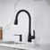 Atura Pull-Down Dual-Spray Bar Faucet
