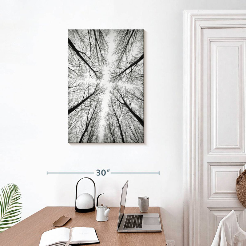 Harnek Monochrome Bare Trees, 30" H x 20" W