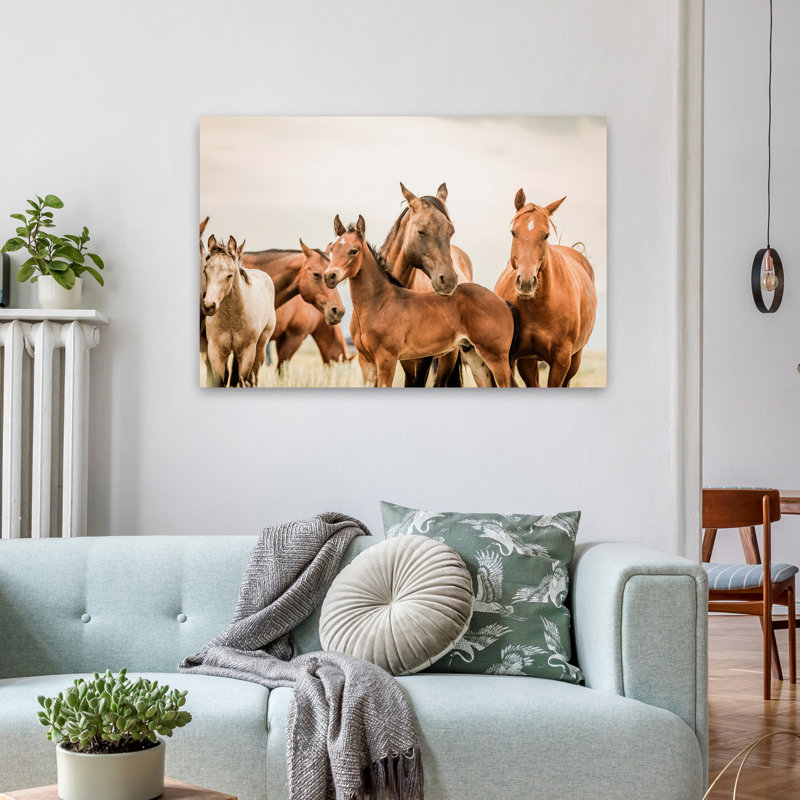 Hartville - photographie, animaux, faune, chevaux, art, H 24 po x l 36 po