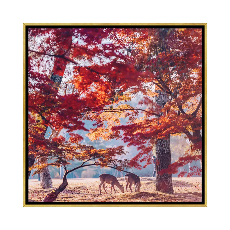 «Autumn Sunrise in Nara» par Hobopeeba - reproduction, H 26 po x l 26 po x P 1,5 po, Pas de tapis, Toile encadrée d'or