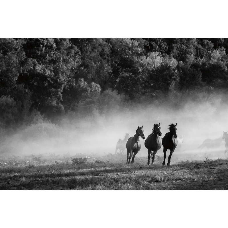 Pays du cheval, H 24 po x l 36 po x P 1,25 po