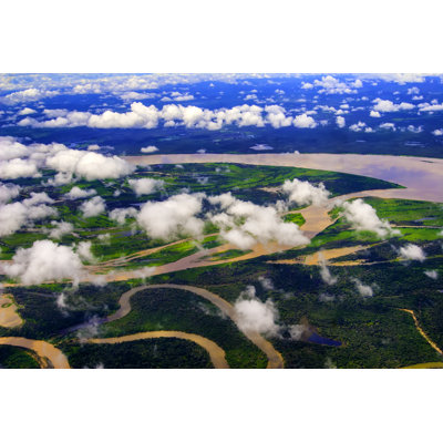 Amazonian Scene by Danielazocar