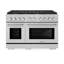 ZLINE 48" Paramount Double Oven Dual Fuel Range w/ 8 Burners in DuraSnow® Stainless Steel (SDRS-48)