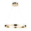 Delia Ring Pendant light finished in French Gold