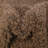 Rodolphe Performance Indoor Rug-292820880