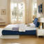 Structure de lit rembourrée, style minimaliste moderne avec tête de lit éponge compressée dodue, velours brillant et support de pieds robuste, matelas non inclus-2022969643-2022969646