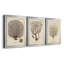 Esper Sea Fans I - ensemble de 3 peintures sur toile encadrées-265464113-265464117