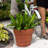 Rolled Rim Resin Indoor/Outdoor Planter Pot-105867781-27279209