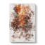 The Woodland Stream - Wrapped Canvas-56643855