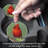 Bird 2 Pack Absorbent Stone Car Coasters