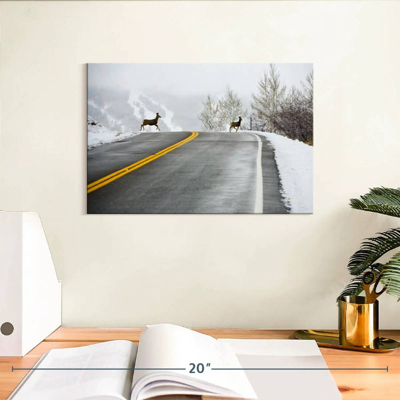 Mehar Deer Crossing Road, H 8 po x l 12 po