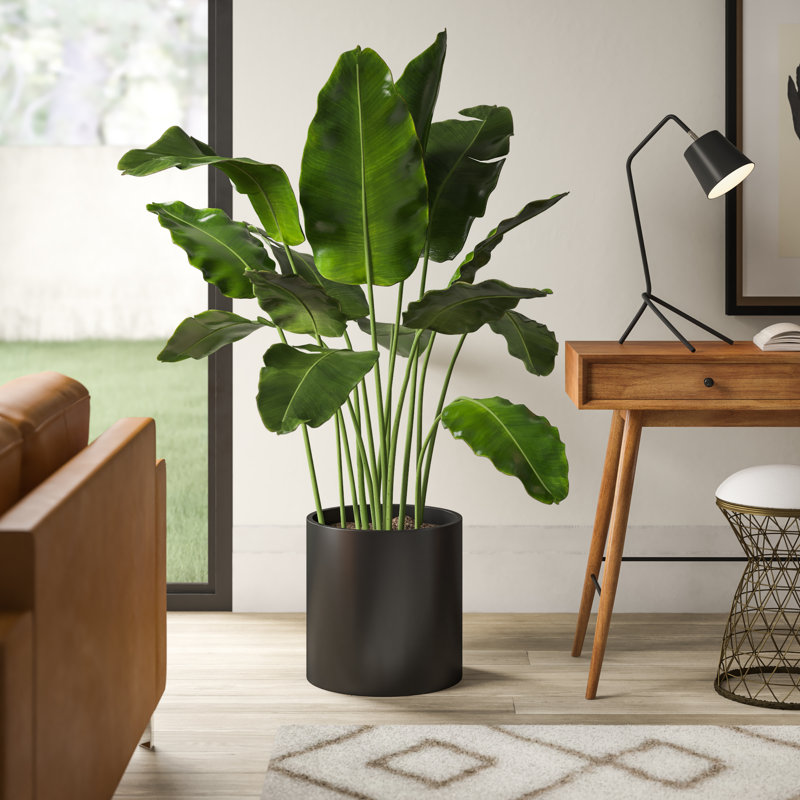 Pot à fleurs rond Brea, H 12 po x l 12 po x P 12 po, Blanc