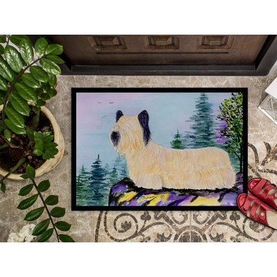 Non-Slip Indoor Doormat