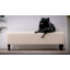 Brode Polyester Upholstered Bench-416955047
