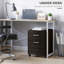 40cm Wide 2 -Drawer File Cabinet-116696779