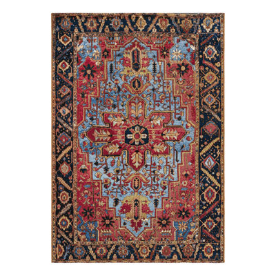 Indoor/Outdoor Traditional Area Rug