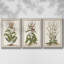 Munting Botanicals I 3 pièces-97709181-97709179
