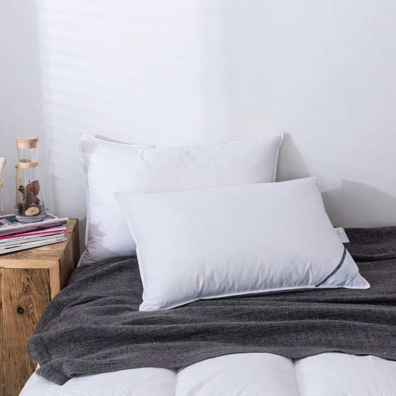 Emeliah L74 x W48cm Support Pillow