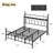 King Metal Platform Bed with Floral Style Headboard, Bed Frame with RGB LED Lights, Charging Station & Ample Storage Space, Easy Assembly, Black-1489262202-1489262086
