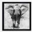 « fiers éléphant », impression encadrée-1569060068