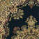 Columbus Traditional Oriental Area Rug