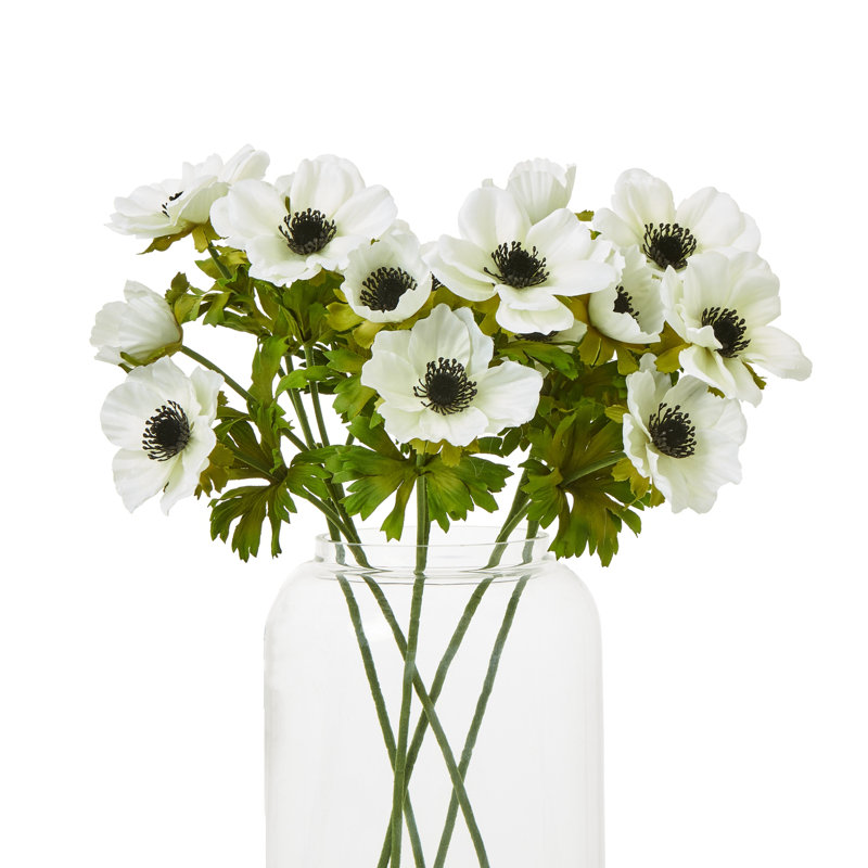 Anastasija Arrangement