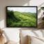 «Green Rolling Hills And Tall Windblown Grass Field», art mural sur toile-133550363