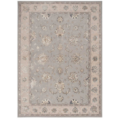 Serenade Oriental Area Rug in Gray/Brown