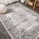 Shellenbarger Filigree Medallion Dark Gray/Cream Rug