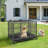Pet Crate with 1 Door
