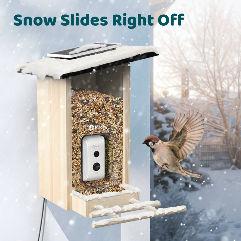 Mangeoire d'oiseaux avec caméra Birdfy Smart