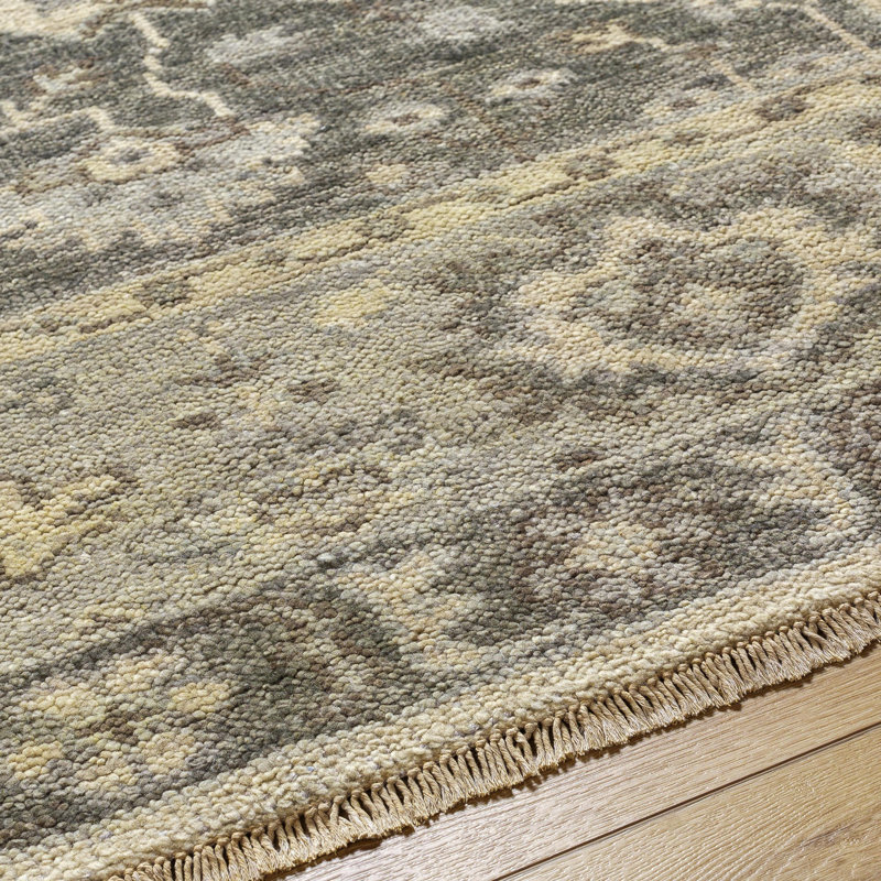 Biscayne Wool Oriental Area Rug, Rectangle 8' x 10'
