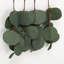 Loom Woven Canvas Wall Hanging