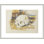 Étude d'un crâne par Paul Cézanne - Reproduction giclée encadrée