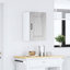 Armoire murale vidaXL-1093138758-1093138760
