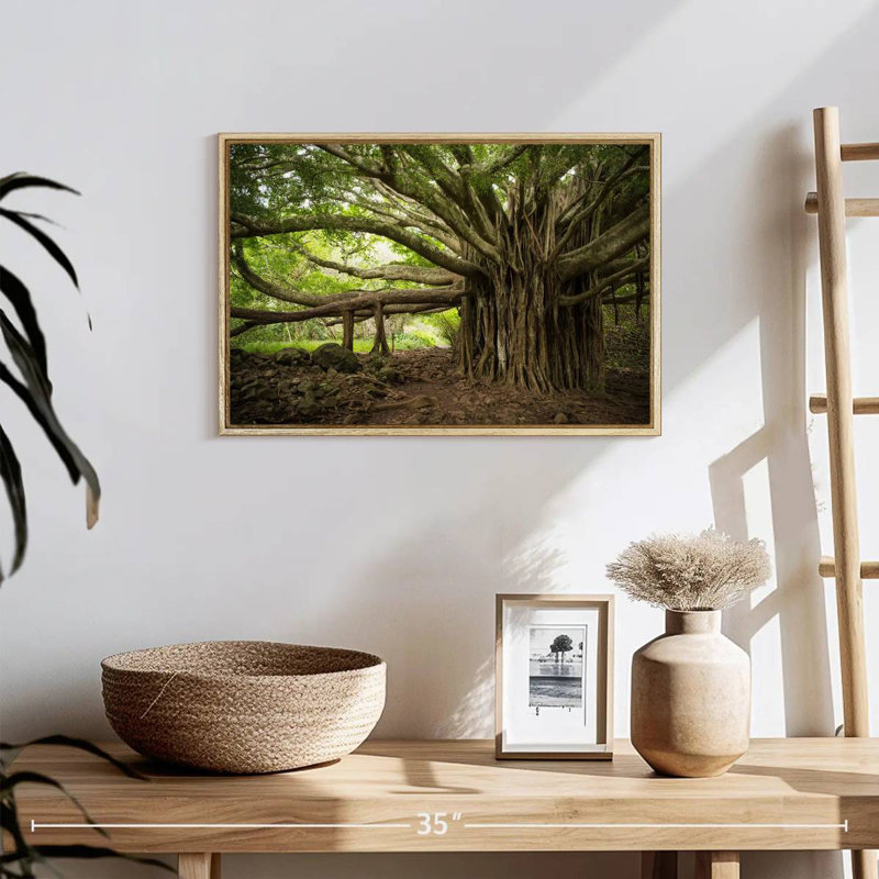 Banyan Tree, Cadre flottant en bois naturel, 19 po x 13 po
