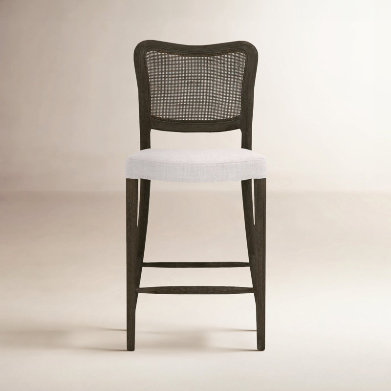 Erminia Orne 25'' Counter Stool