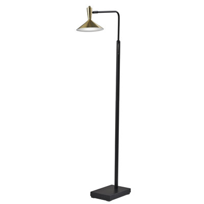 Kodi 54'' LED Floor Lamp