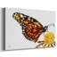 Toile tendue Wings I-Gallery-2111710589
