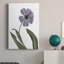 «Xray Tulip X», impression sur toile tendue-753859364