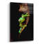 «Portrait de grenouille» par Thomas Haney-2052638416