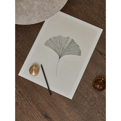 Ginkgo Leaf