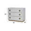 Console Anpu
