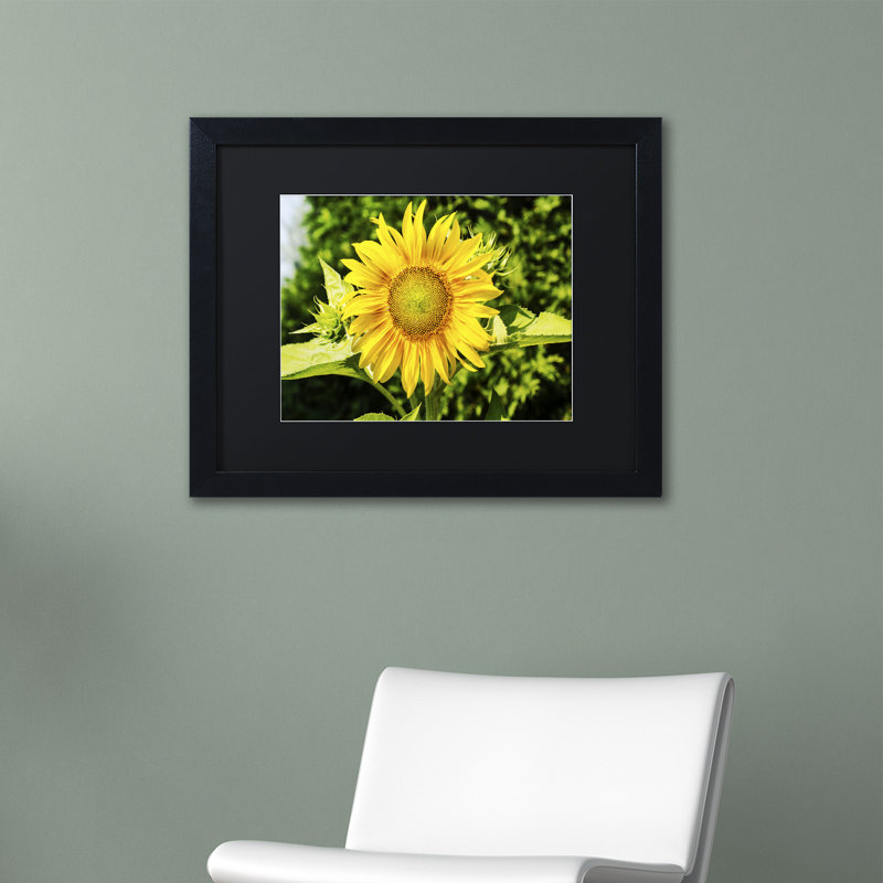 « juste un tournesol », reproduction de photo encadrée, Noir, H 16 po x l 20 po x P 0,5 po