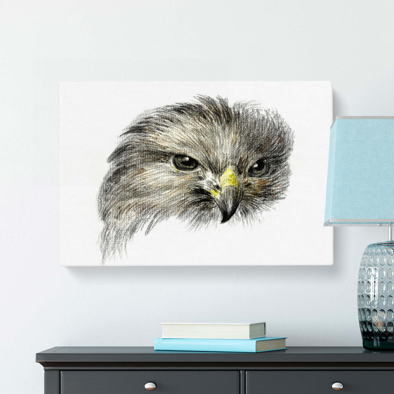 Bird of Prey by Jean Bernard - Wrapped Canvas, 50cm H x 76cm W x 3cm D