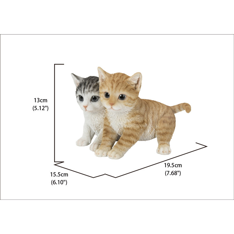 Chatons assis ensemble