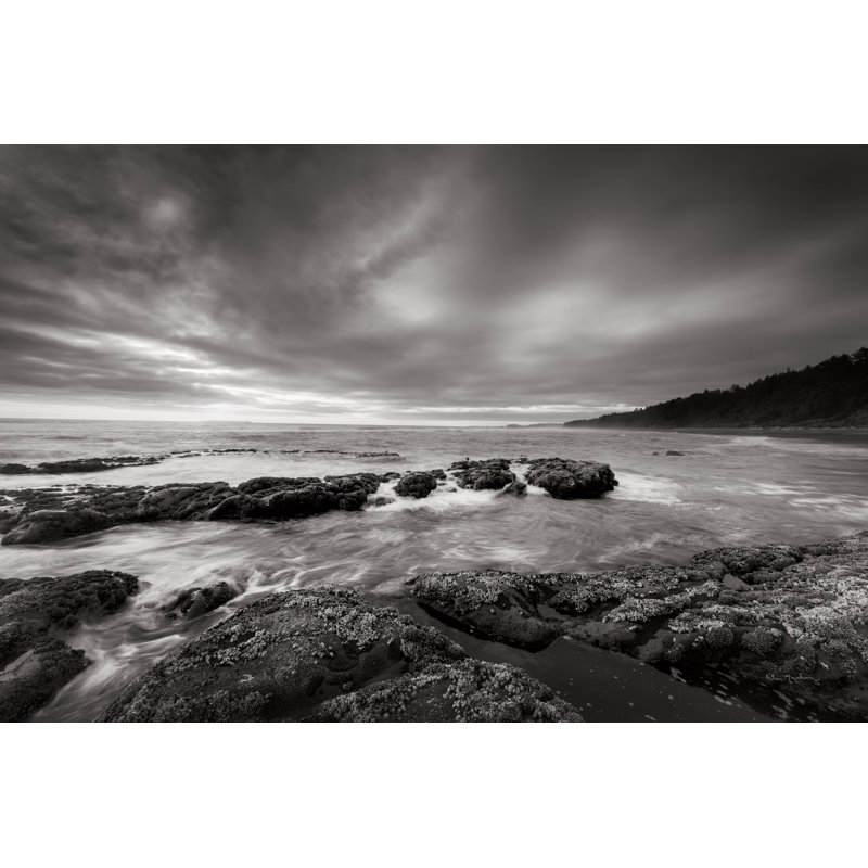 Kalaloch Beach by Alan Majchrowicz - No Frame Print on Canvas, 81cm H x 122cm W x 3.8cm D