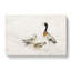 Ducks At The Water by Oliver Goldsmith - Wrapped Canvas Painting-55342669