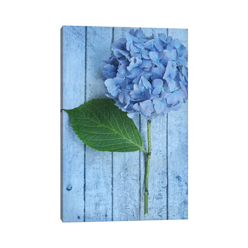 Powder Blue Hydrangea 1 Piece Wrapped Canvas Wall Art, 101.6 cm H x 66.04 cm W x 1.91 cm D